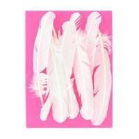 White American Style Feathers 6 Pack