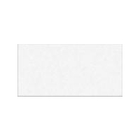 White Gloss Oblong (PRG1) Wall Tiles - 200x100x6.5mm