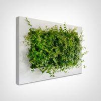 White Living Picture (L)118cm (W)78cm