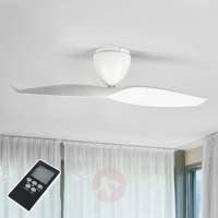 White ceiling fan Wave 109.2 cm