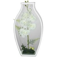 White Orchid Display in Vase Shape Glass Case