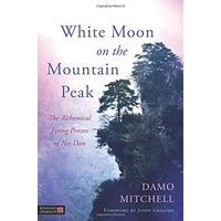 White Moon on the Mountain Peak (Daoist Nei Gong)