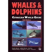 Whales and Dolphins