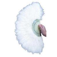 White Feather Fan