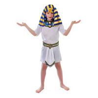 White Men\'s Roman Tunic Costume