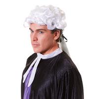 White Unisex Court Lawer Wig