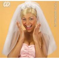 white fancy dress bridal veil