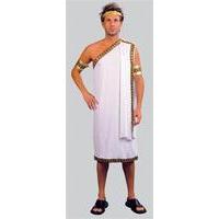 White Men\'s Caesar Costume