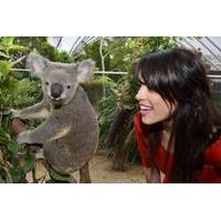 WILD LIFE Sydney Zoo - 3 Attractions Combo Ticket