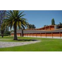 Wine Tour of Viña Almaviva