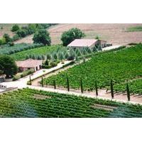 Wine Tour and Tasting at Villa Corano Winery and Wine Shop