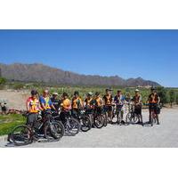 Wine Route Bike Tour with Wine Tasting from Cafayate