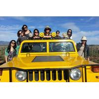 Wine Tour by Hummer from Santa Barbara or Solvang