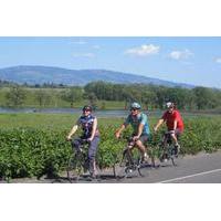 Wine Country Adventure: Bike and Kayak Wine Tour