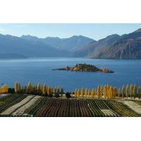 Wine Tour with Wine Tasting from Wanaka