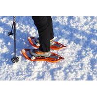 Winter Nordic Walking in Cortina d\'Ampezzo