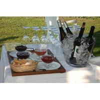 Wine Tastings in Braga