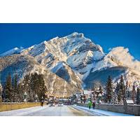 Winter Tour: Banff and its Wildlife