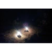 Wild Odessa Catacombs Tour