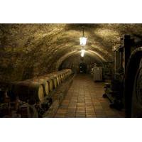 Wine Tasting Day Trip from Pragu...