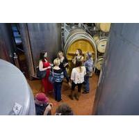 Wine Production Tour with Tasting