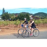 Wine Country Sip \'n\' Cycle Bike Tour