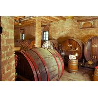 Wine Tour and Tasting at Le Marche\'s Oldest Wine Estate