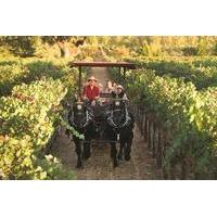 Wine Tasting Tour by Horse & Carriage