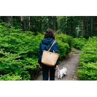 Wild Mushroom Foraging 101 Tour with Lunch