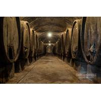 Wine Tasting Tour in a Historical Wine Cellar