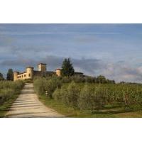 Winery Tour in a Castle in Tuscany