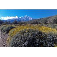 Wildlands Preserve Nature Tour