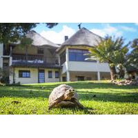 Winelands Villa Guesthouse