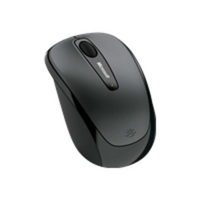 Wireless Mobile Mouse 3500 for Business- Loch Ness Gray