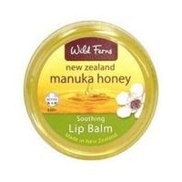 Wild Ferns Manuka Honey Lip Balm 15g (1 x 15g)