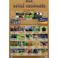 Wild Animals Wall Chart