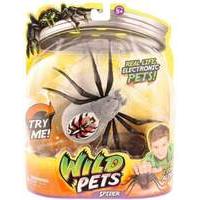 Wild Pets Spider Single Pack - Grey Spider
