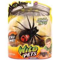 Wild Pets Spider Single Pack - Black Spider