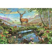 wildlife splendour jumbo generic 2000 piece jigsaw puzzle
