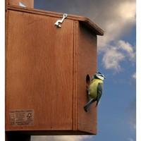 Wireless Nest Cam Bird Box
