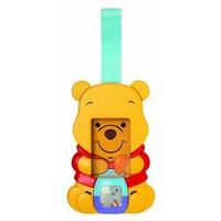Winnie The Pooh Protect-n-play Icase