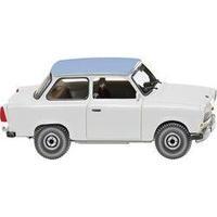 Wiking 012905