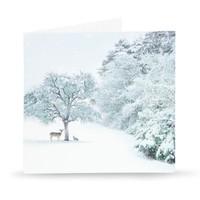 Winter Wonderland Christmas Card