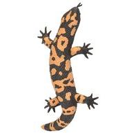 Wild Republic 25cm Black & Orange Rubber Salamander Toy