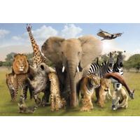 Wild World Animal Group Maxi Poster