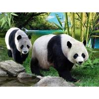 Wild Republic 3d Lenticular Poster Panda
