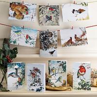 Winter Birds Cards