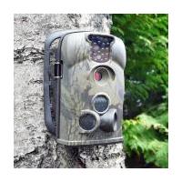 Wildlife And Security Camera