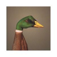 Wild Duck Hand Animal Greeting Card