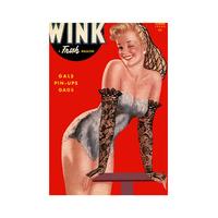 wink by peter blake